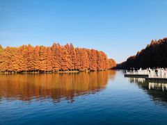 -上海海湾国家森林公园