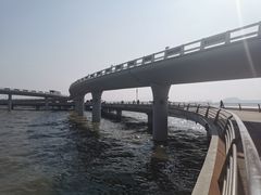-演武大桥观景平台