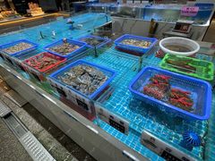 -皮记海鲜1995(寮步店)