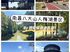 -八大山人梅湖景区