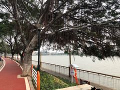 -仙湖旅游度假区