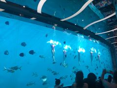 -瑞德姆美人鱼海底演艺主题餐厅(亚龙湾店)