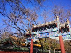 -北京国子监胡同