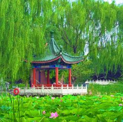 -宝馨月月子中心(友谊医院店)