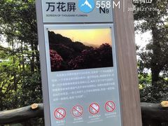 -梧桐山风景名胜区