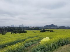 -光明小镇欢乐田园
