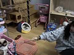 -Meowの猫咖(万家丽店)