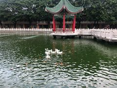 -广东圆玄道观