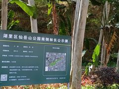 -仙岳公园