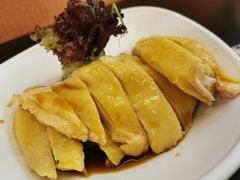 -Asianplus海蓝鸡饭