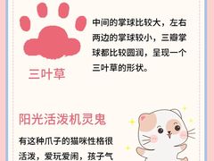 -唐小姐の私宠·宠物洗护美容·撸猫馆·购宠(周浦万达旗舰店)