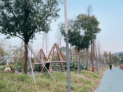 -光明小镇欢乐田园