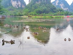-靖西鹅泉风景区