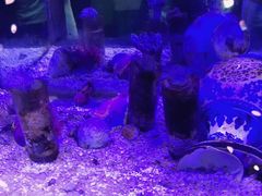 -苏州海洋馆