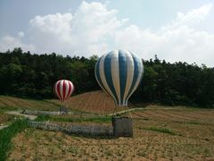-大塘金香草谷