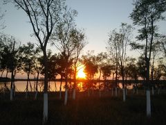 -天津东丽湖风景区