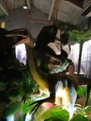 点击看大图 -恐龙探索乐园(磁器口店)
