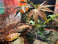 -上海海洋水族馆