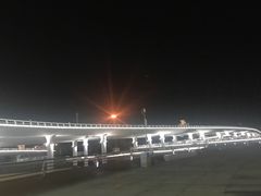 -演武大桥观景平台