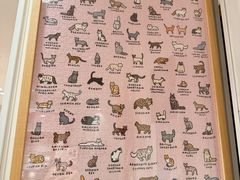 -猫的天空之城概念书店(苏州平江店)