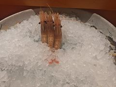 -月龍吟(朝龙汇店)