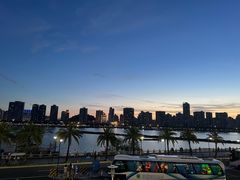 -野狸岛