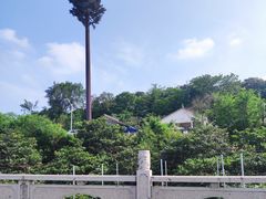-东山风景区(洞庭东山)