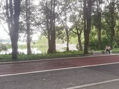 -南宁南湖公园