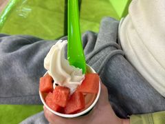 -Salud撒露欧洲冻酸奶(北苑上品店)