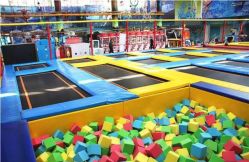 -爱丽丝奇幻乐园