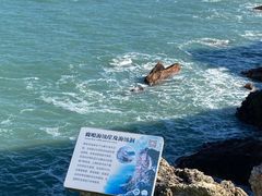 -鹿嘴山庄