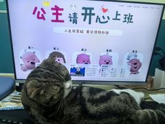 -乖乖宠物医院·猫科·急重症中心(车站北路分院)
