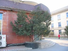 五洲园门口-辽宁大学(崇山校区)