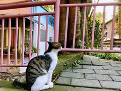 -石井坡(地铁站)