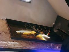 -杨氏青龙虾·羊蝎子(金盛路总店)