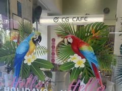 -立德异宠动物医院.兔鸟爬.内窥镜(天河店)