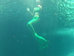 -洛阳龙门海洋馆