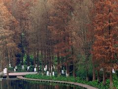 -重庆彩云湖湿地公园