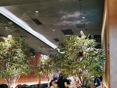 -同仁四季椰子鸡(海岸城天利店)