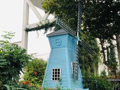 -杭州上海世界外国语小学