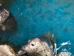 -华夏文旅海洋公园