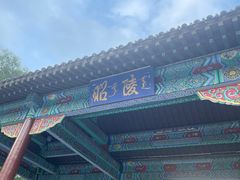 -北陵公园