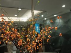 -碧澄保健(东风西路店)