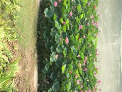 黄河迎宾馆-河南省黄河迎宾馆