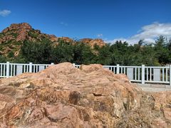 -红山国家森林公园