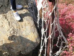 -木兰云雾山