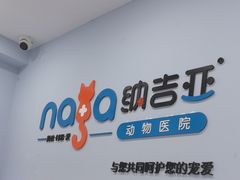 -纳吉亚猫专科动物诊疗中心(蒋宅口分院)