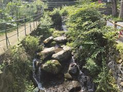 -藏龙百瀑风景区