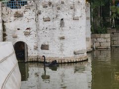 -得丘礼享谷·玉兰苑