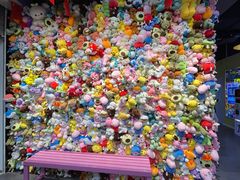 -中福百货(望京店)